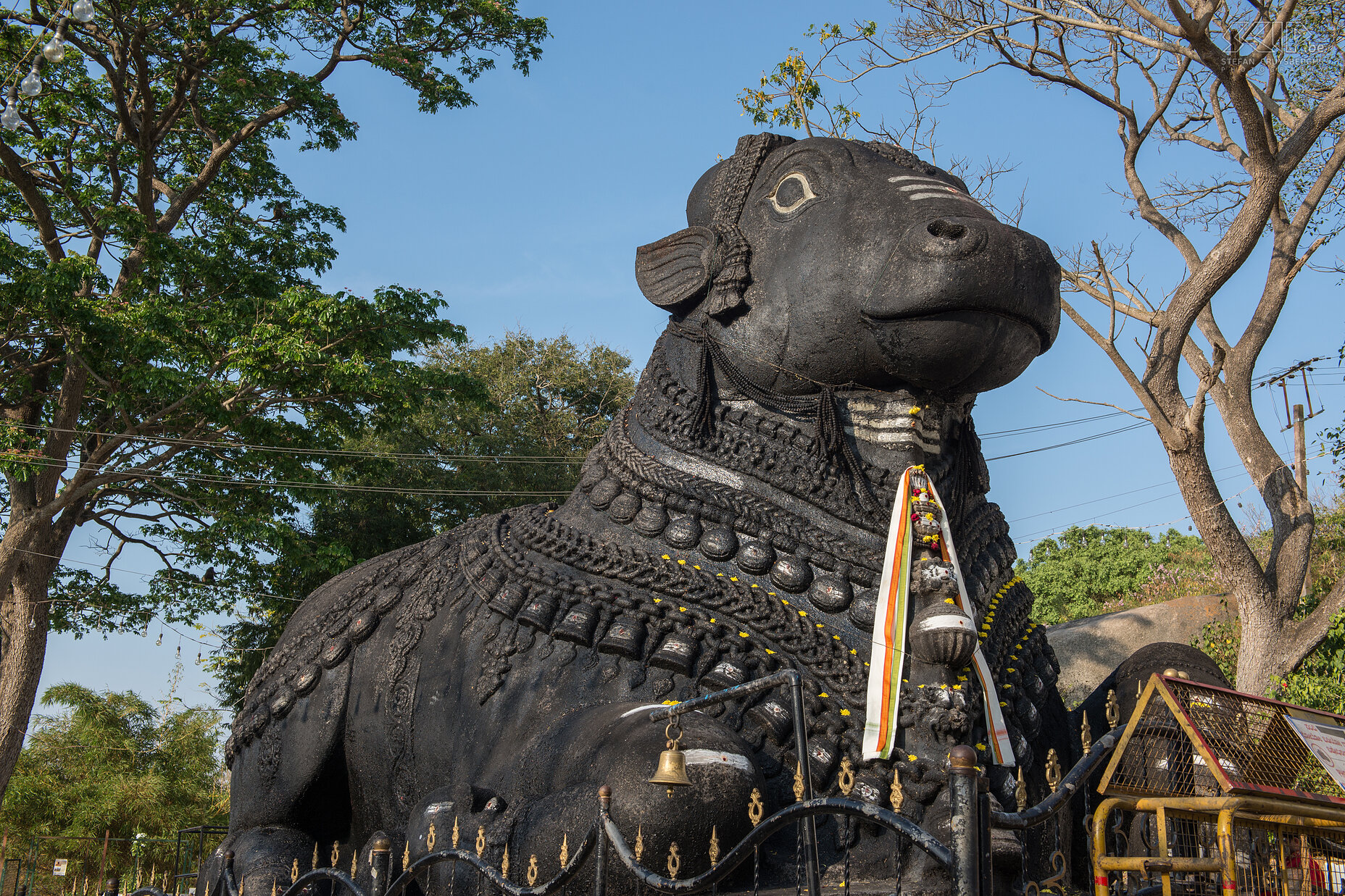 Mysore - Chumanudi heuvel - Nandi Halverwege de top van Chamundi Hill is er een standbeeld van de stier Nandi. Het is 4,9m hoog en 7,6m lang en gebeeldhouwd uit een enkel stuk zwarte graniet. Stefan Cruysberghs